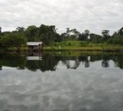 Lots/Land For sale in Bocas, Bocas del Toro, Panama